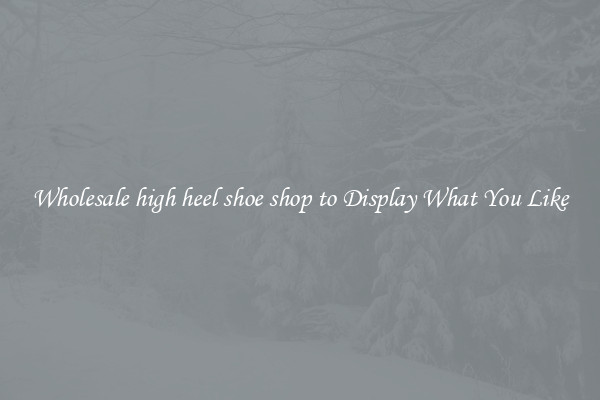 Wholesale high heel shoe shop to Display What You Like