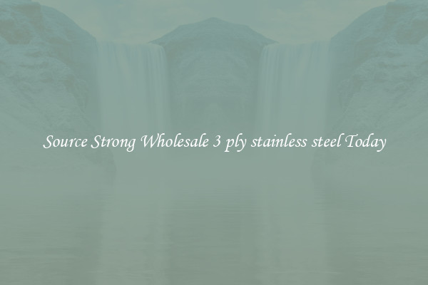 Source Strong Wholesale 3 ply stainless steel Today