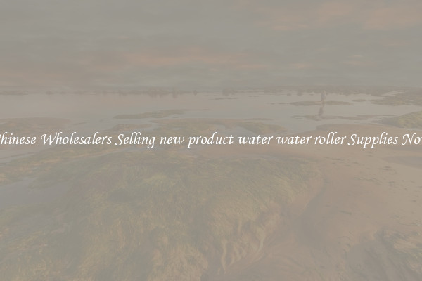 Chinese Wholesalers Selling new product water water roller Supplies Now