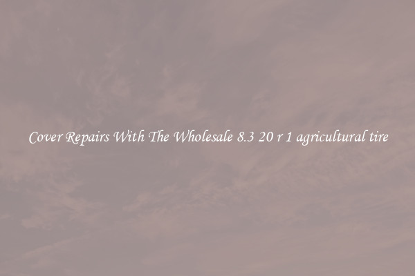  Cover Repairs With The Wholesale 8.3 20 r 1 agricultural tire 