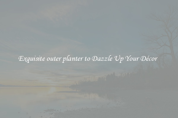 Exquisite outer planter to Dazzle Up Your Décor  