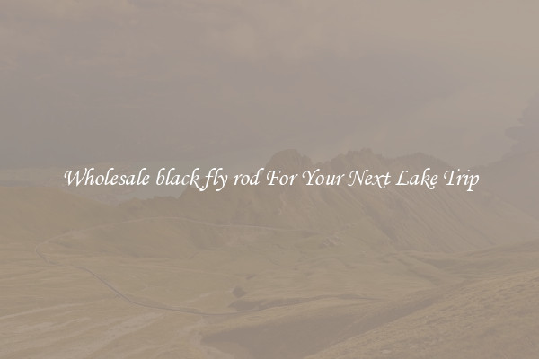 Wholesale black fly rod For Your Next Lake Trip