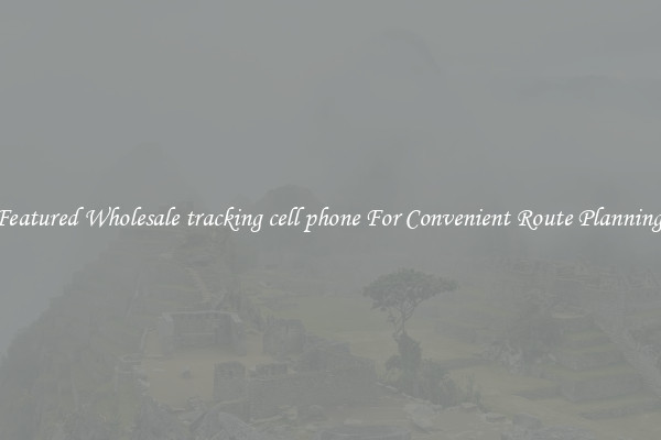Featured Wholesale tracking cell phone For Convenient Route Planning 