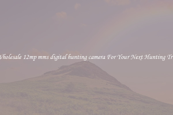 Wholesale 12mp mms digital hunting camera For Your Next Hunting Trip