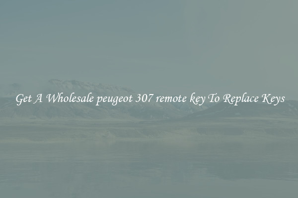 Get A Wholesale peugeot 307 remote key To Replace Keys