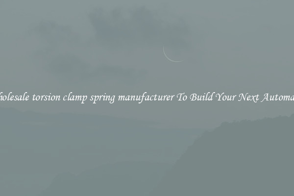 Wholesale torsion clamp spring manufacturer To Build Your Next Automaton