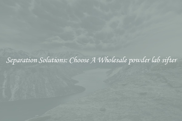 Separation Solutions: Choose A Wholesale powder lab sifter