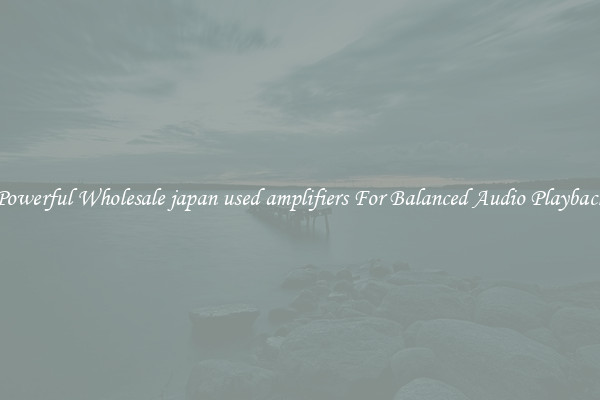Powerful Wholesale japan used amplifiers For Balanced Audio Playback