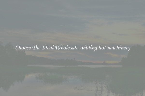 Choose The Ideal Wholesale wilding hot machinery