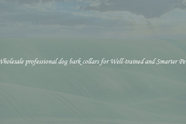 Wholesale professional dog bark collars for Well-trained and Smarter Pets