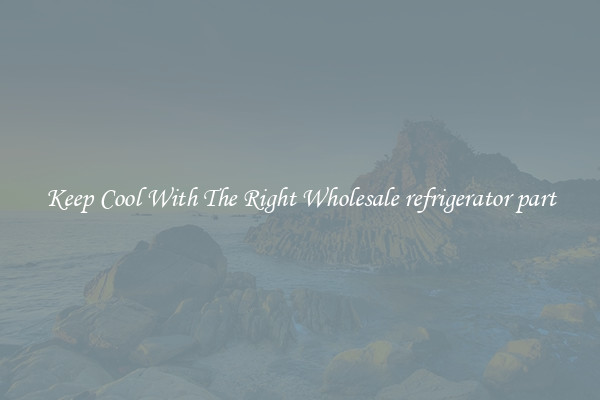 Keep Cool With The Right Wholesale refrigerator part