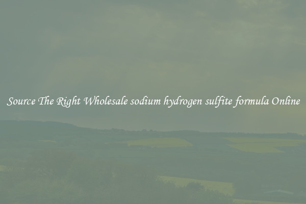 Source The Right Wholesale sodium hydrogen sulfite formula Online