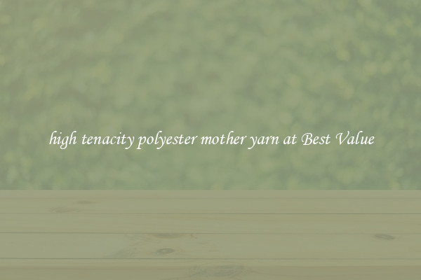 high tenacity polyester mother yarn at Best Value