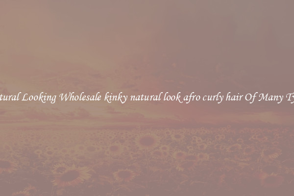 Natural Looking Wholesale kinky natural look afro curly hair Of Many Types