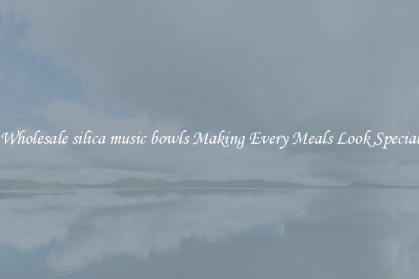 Wholesale silica music bowls Making Every Meals Look Special