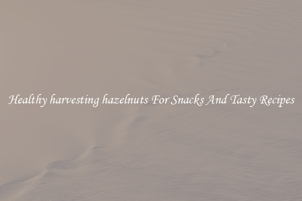 Healthy harvesting hazelnuts For Snacks And Tasty Recipes