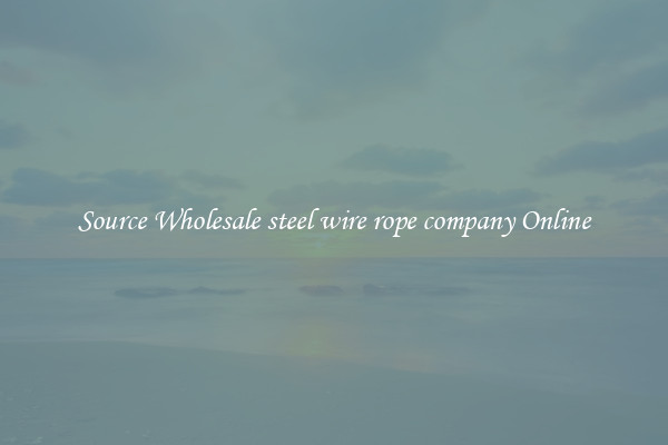 Source Wholesale steel wire rope company Online