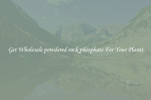 Get Wholesale powdered rock phosphate For Your Plants